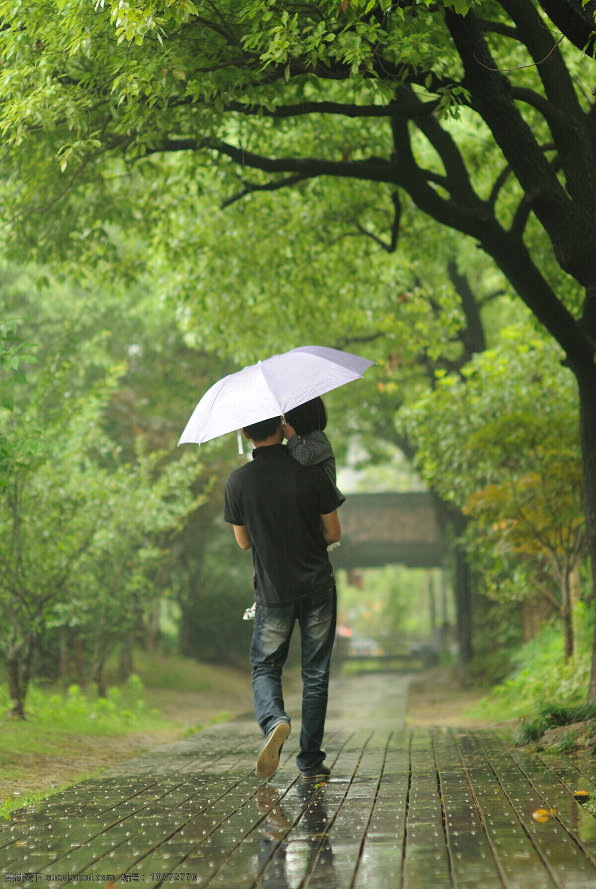 父女 亲子 童年 雨季 背影 绿色 人物摄影 人物图库