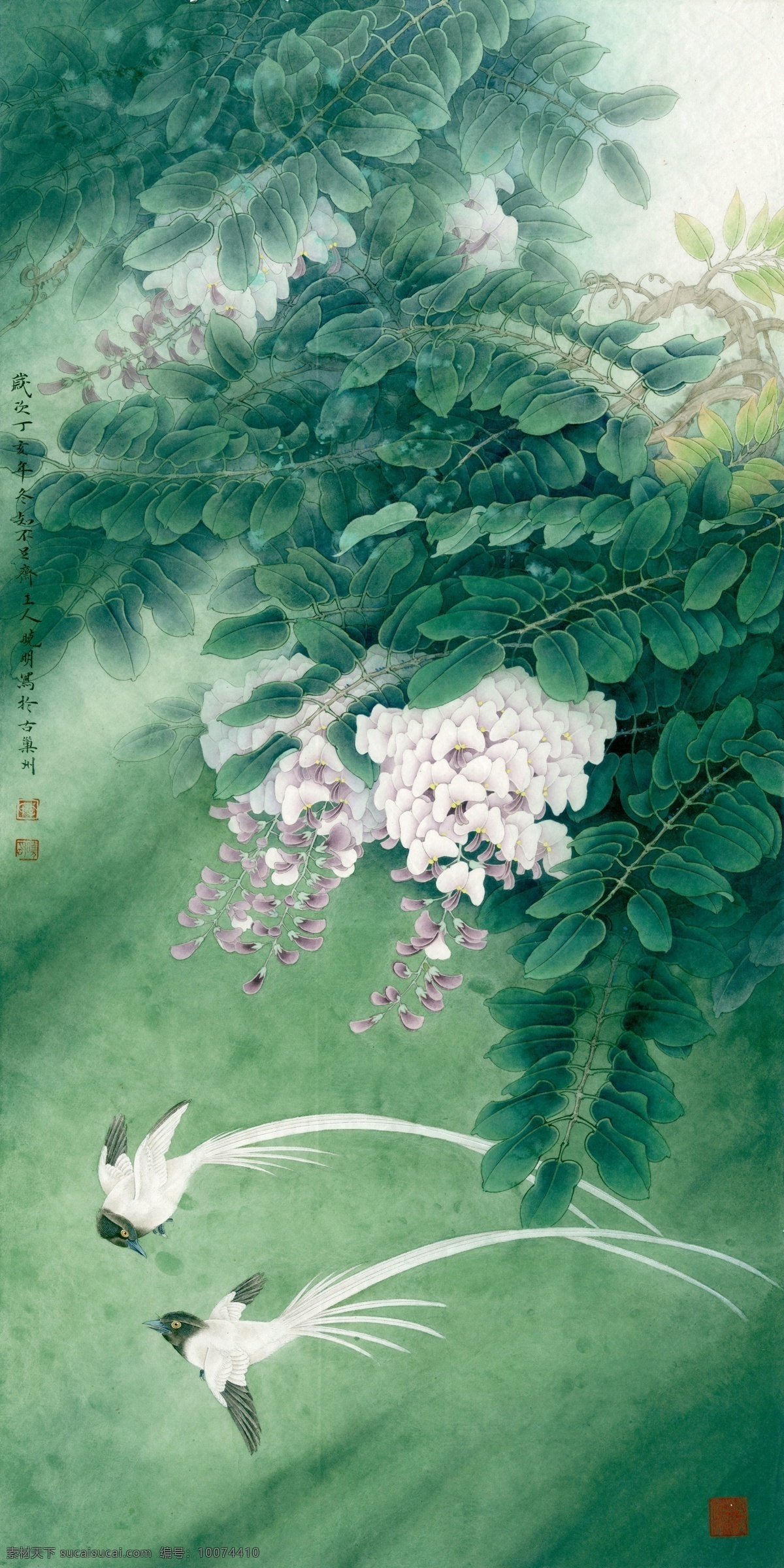 紫藤 绶带 高清 国画 绿色