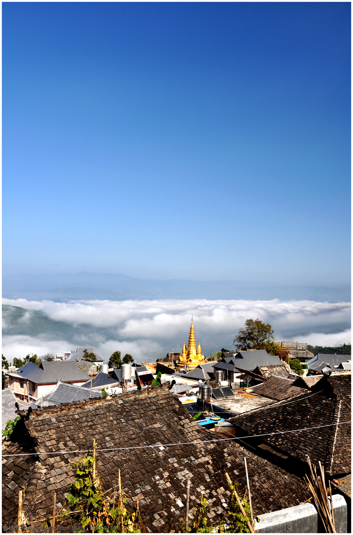 普洱茶名山 普洱茶 景迈山茶 古茶树 云南大叶茶种 普洱茶种 老茶树 大茶树 生态古茶园 古茶园 景迈山古茶山 云雾缭绕 旅游摄影 国内旅游