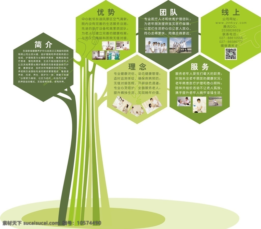 树 文化墙 绿色 养护中心 简介 江南医院