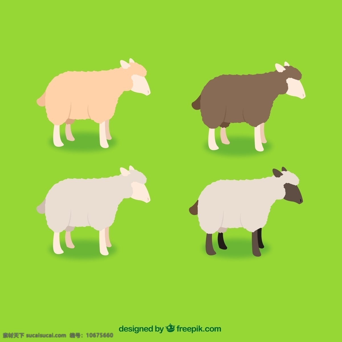 卡通绵羊矢量 农场 卡通 家畜 绵羊 羊 矢量图 ai格式 生物世界 家禽家畜