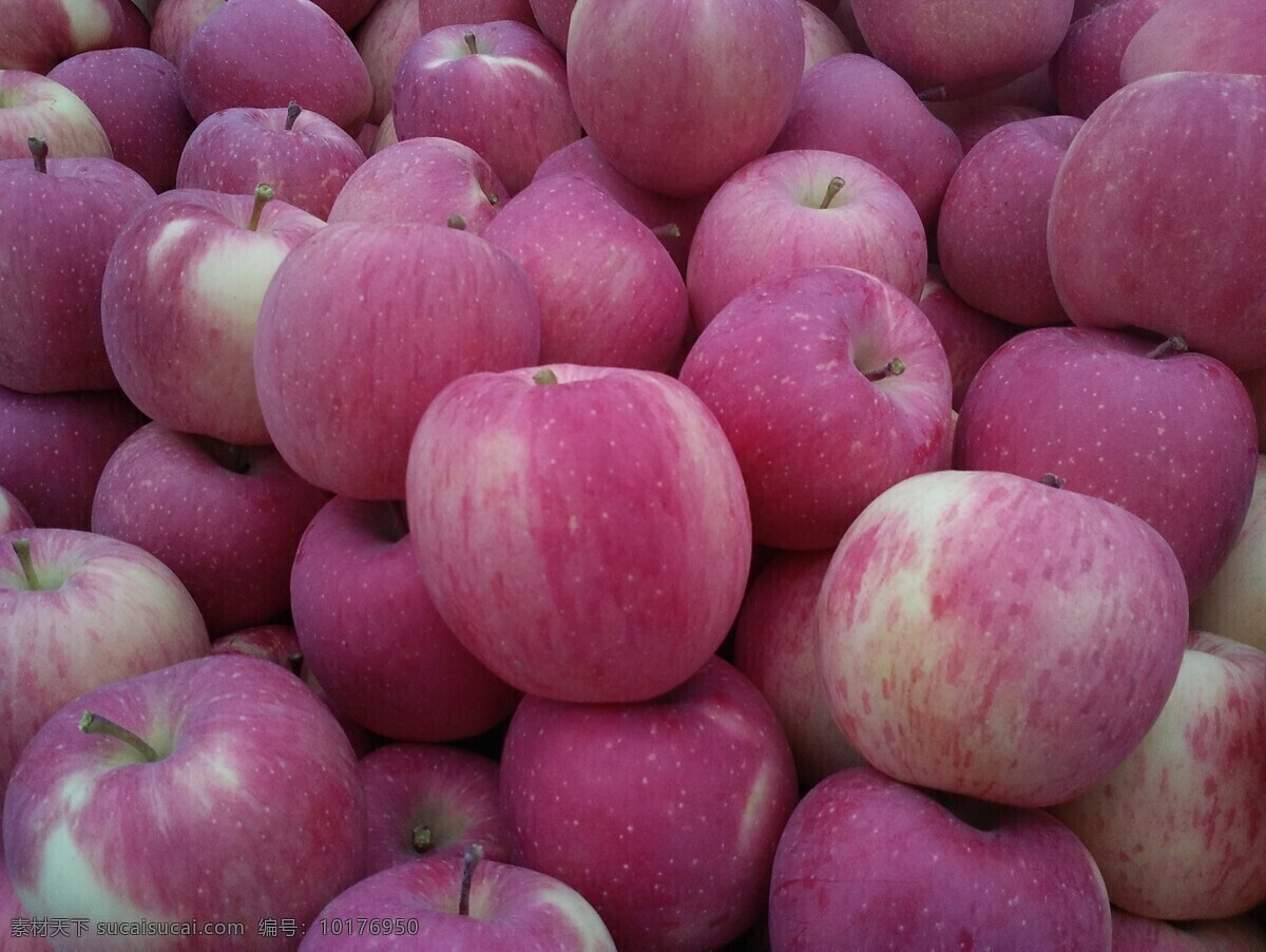 苹果图片 苹果背景 苹果素材 苹果展示 苹果堆图片 好看的苹果 摄影图片包 生物世界 水果