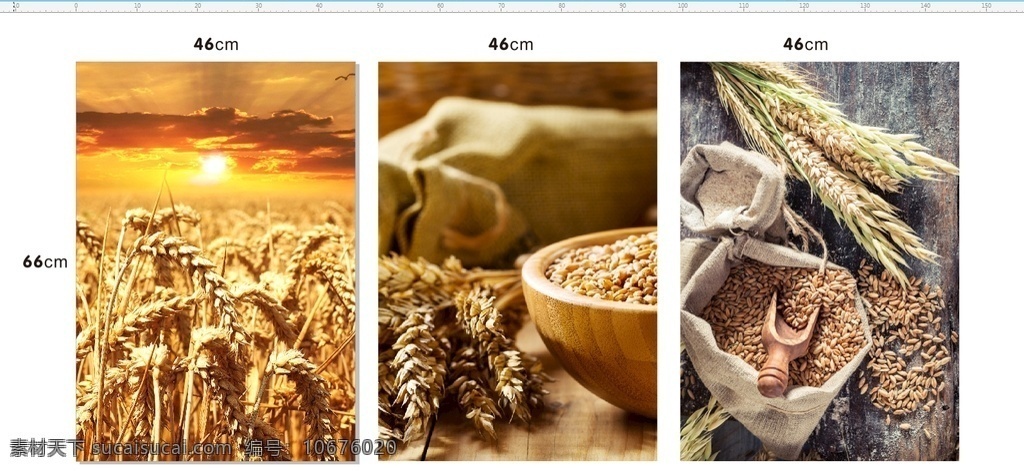 风景海报 小麦海报 小麦图片 收成图片 谷物海报 食物图片 北方小麦 自然景观 自然风光