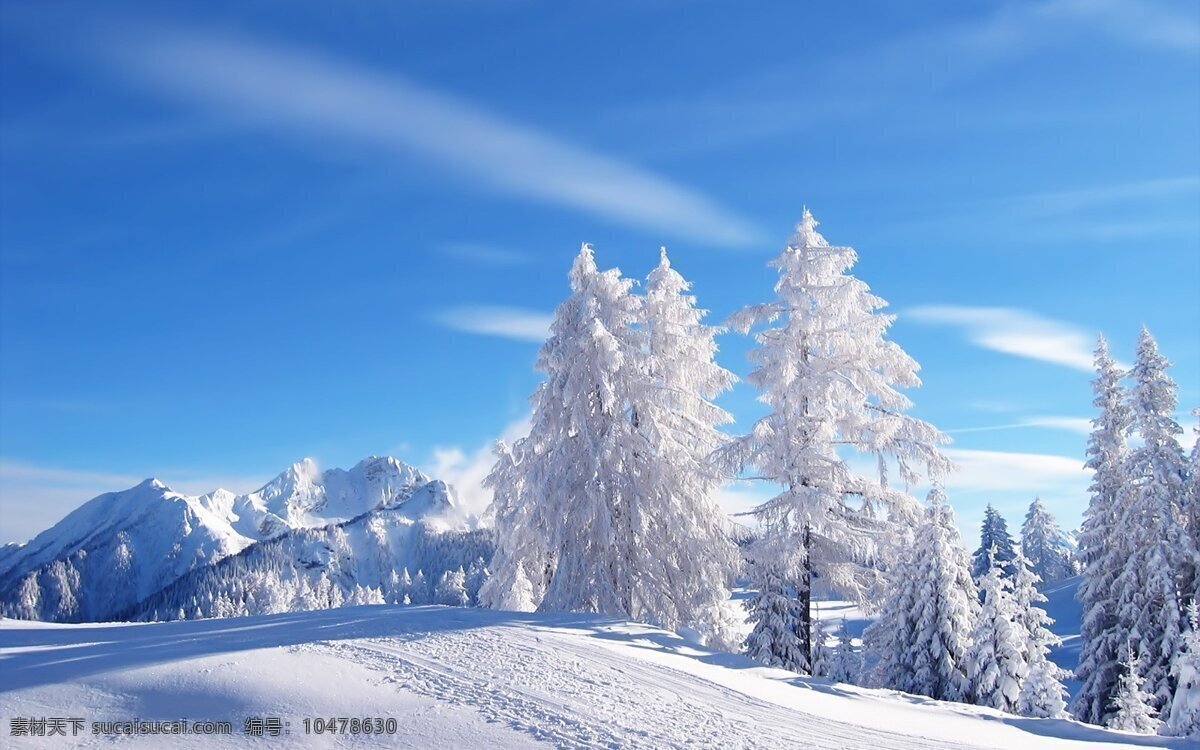 冰山雪地 冰山 雪地 极地 白雪 冬天 寒冷 寒冰 蓝天 高清 图片背景