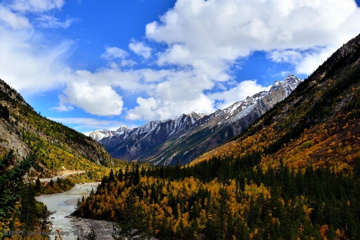 西藏 拉萨河 风景