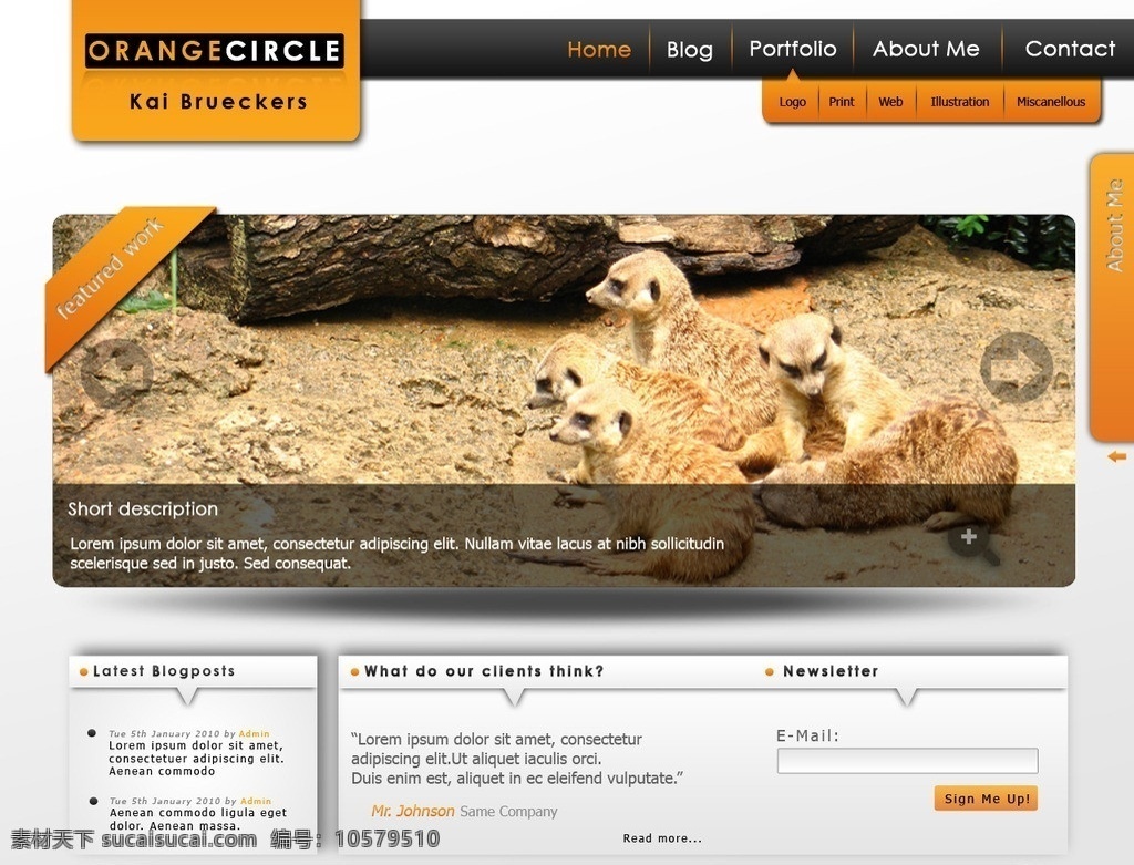 野生动物网站 网页设计 简约简洁 ui设计 交互设计 橙色 环保 动物 非洲 猫鼬 客户端界面 移动界面设计 源文件