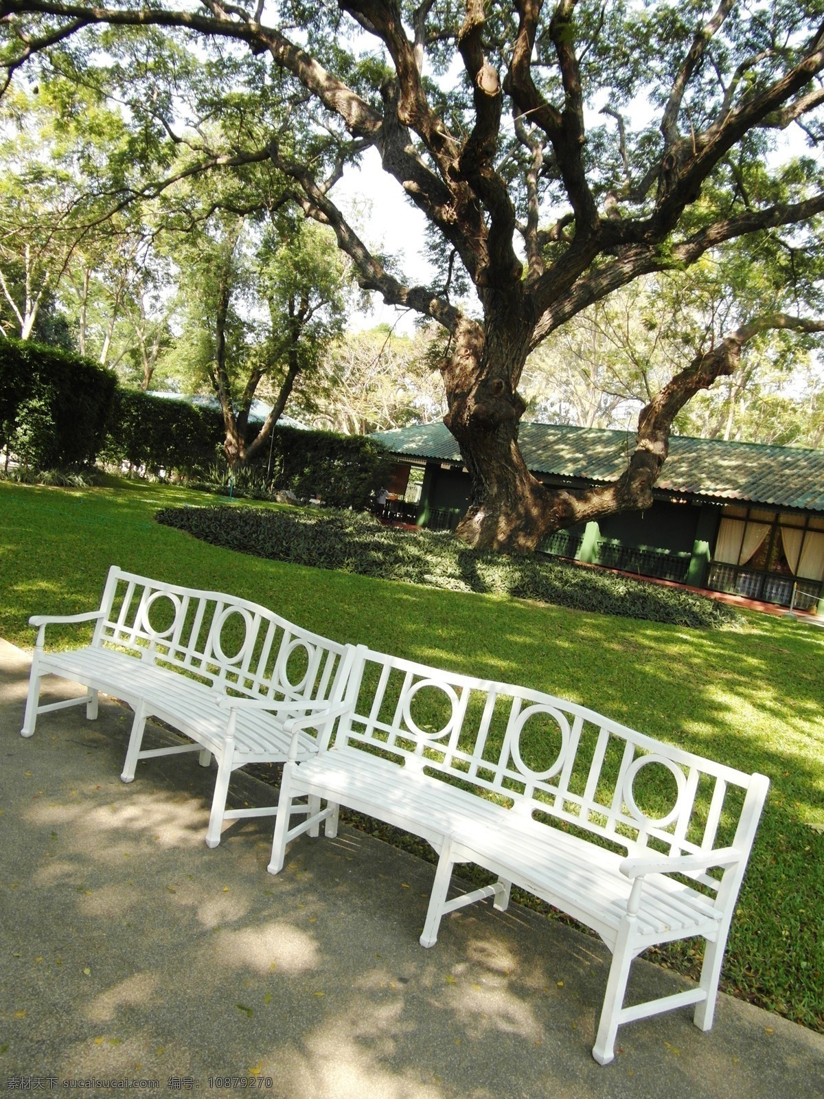 公园长椅 公园 长凳 长椅 花园 码 绿色 白色 漂亮 空 没有人