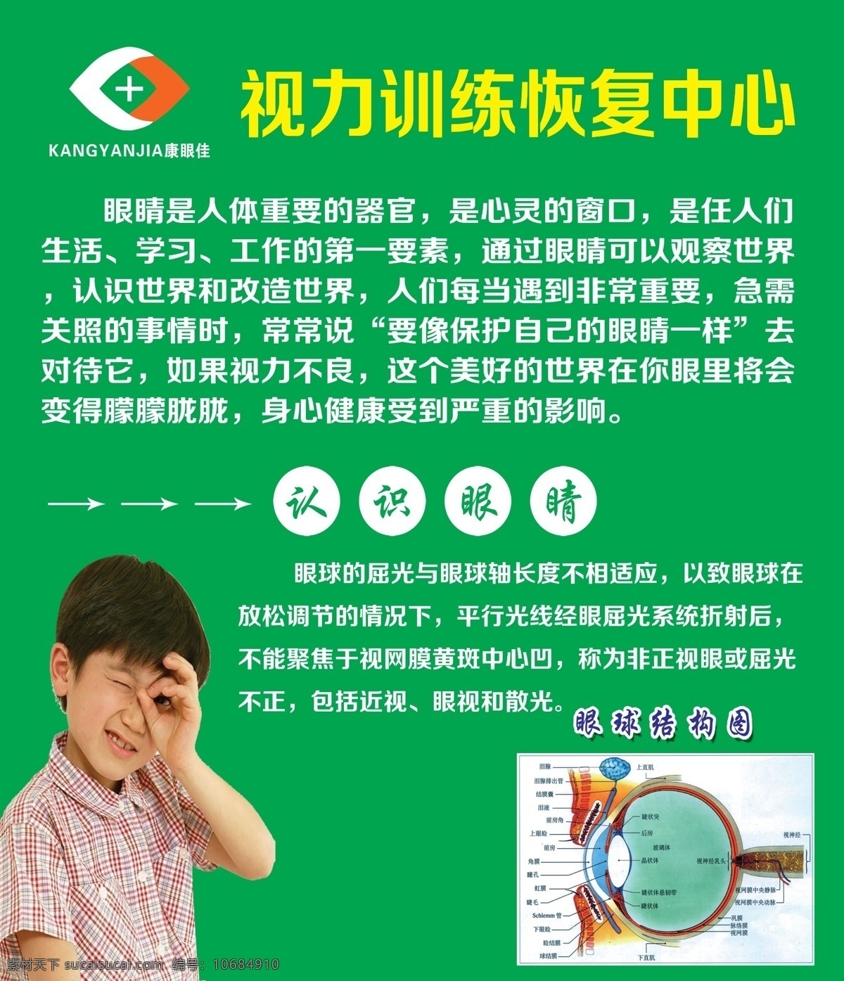 康 眼 佳 青少年 视力 恢复 中心 训练 眼睛 青少年近视 认识眼睛 康眼佳 眼球结构图