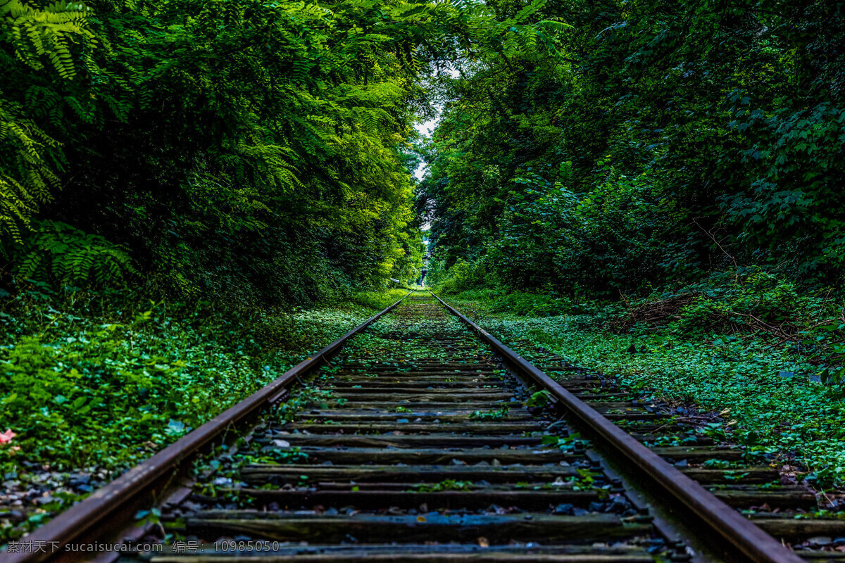 旧铁路 铁路 丛林 绿林 小树林 远景 极目远眺 自然景观 自然风景