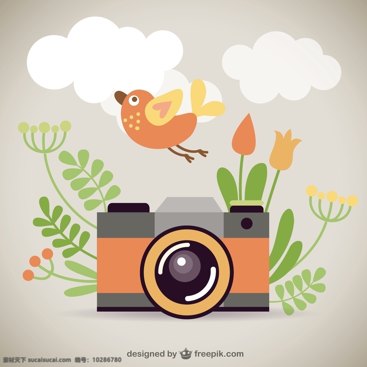 带 鸟 复古 相机 照相机 可爱 爱鸟 照片