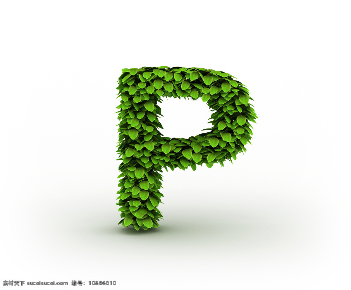 绿叶 组成 字母 p 树叶 文字 英语字母 艺术字体 书画文字 文化艺术 白色