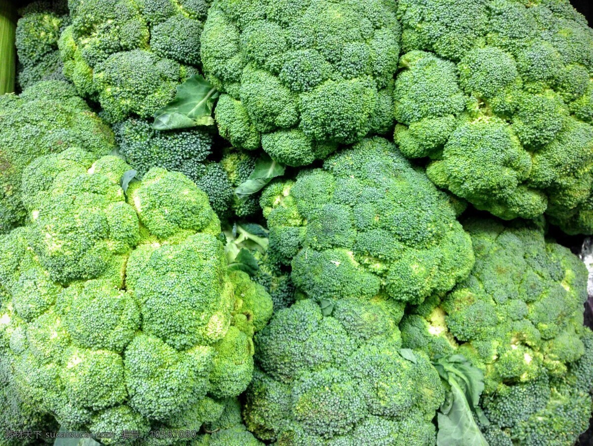 西兰花蔬菜 新鲜蔬菜 有机蔬菜 绿色蔬菜 农产品 菜篮子 超市用图 果蔬图册 农贸市场 生物世界 蔬菜