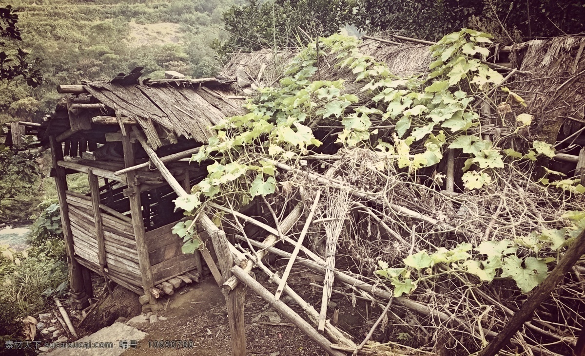 茅草屋 茅屋 破房子 猪圈 农村 处理照片 草棚 建筑园林 建筑摄影 灰色