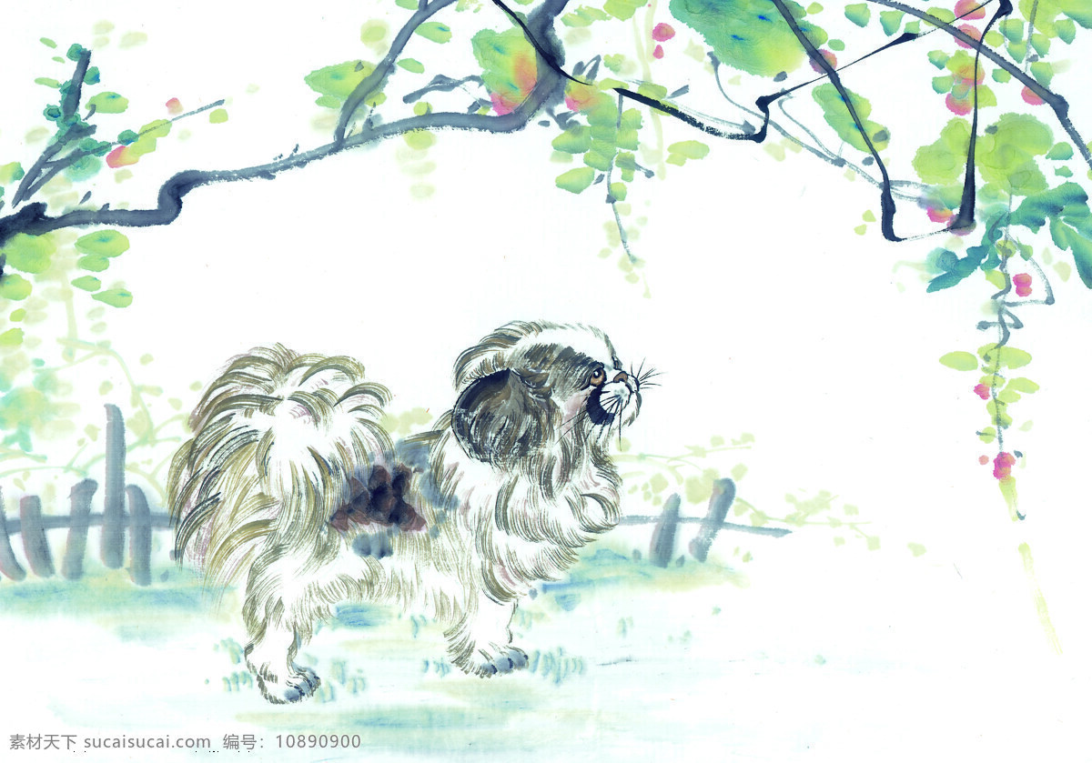 狗 十二生肖 中国画 设计素材 中国画篇 书画美术 白色