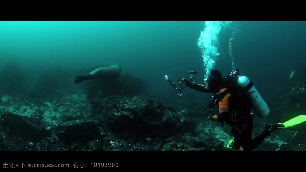 人物 潜水 视频 人物潜水 潜水视频 潜水素材 视频素材 潜水员 海底视频 海底