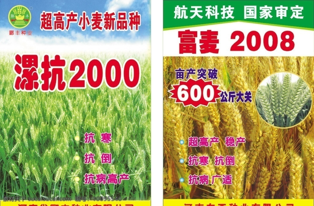 小麦 宣传单 海报 小麦宣传单 彩页 展板 图板 河南 豫 麦穗 原创作品 矢量