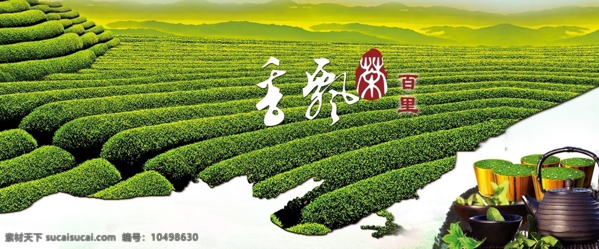 茶语飘香 茶 绿色 大自然 草坪 风景