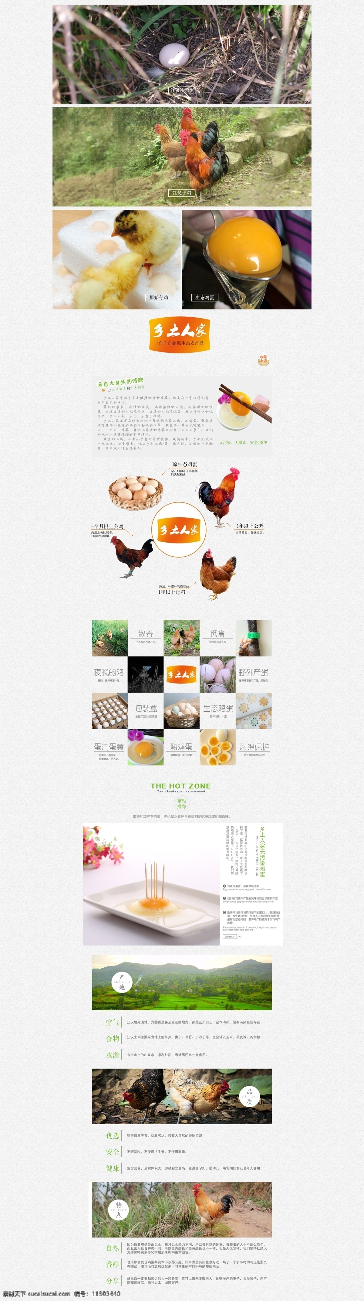 土鸡品牌故事 子页面 清新 绿色 简洁 大气 土鸡蛋子页面 白色