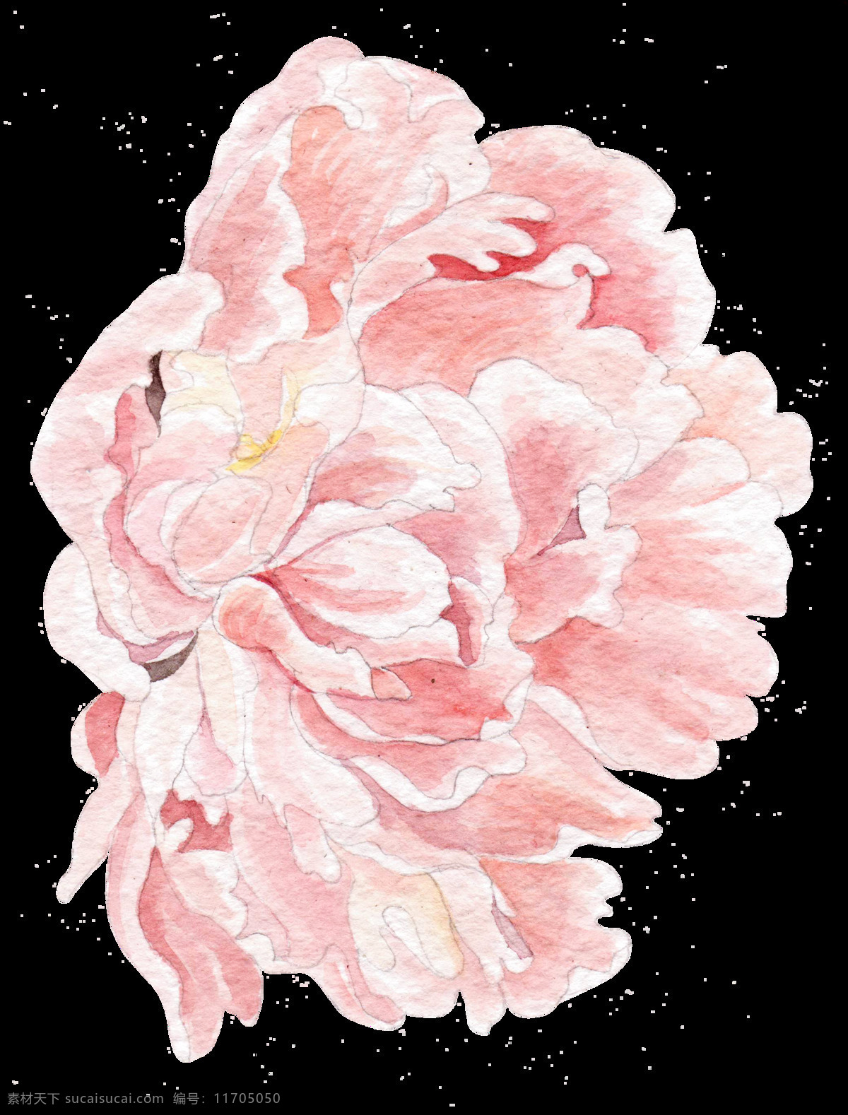 侧面 淡粉色 立体 免扣素材 生动 水彩 透明素材 装饰图案 朵 粉红色 鲜花 透明