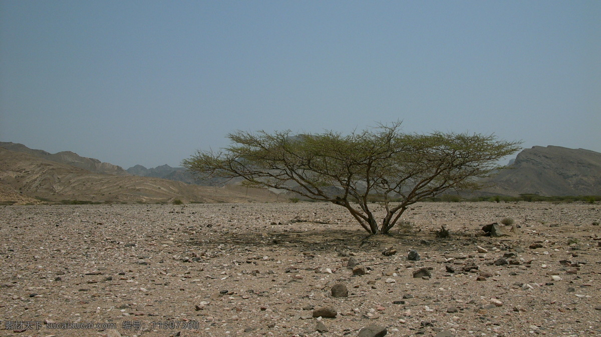 亚丁的戈壁滩 也门 南部 亚丁 山丘 戈壁 树丛 天空 也门印象 国外旅游 旅游摄影 灰色