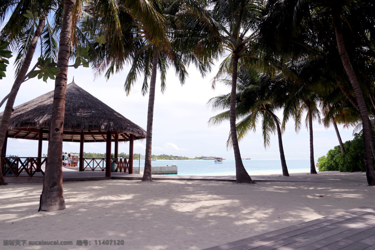 马尔代夫 沙滩 风景 海景 海岛摄影 树林摄影 旅游摄影 国外旅游 蓝天白云 椰树 草屋 木屋 绿植
