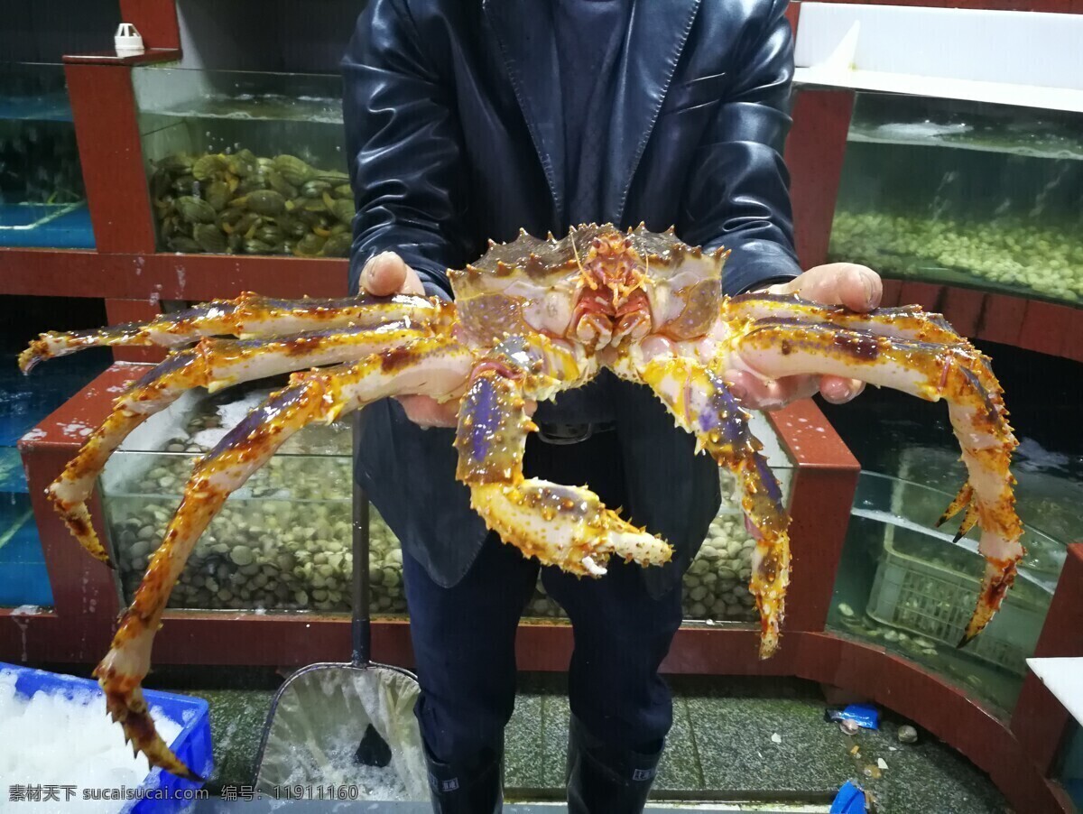 帝王蟹 大螃蟹 螃蟹 海鲜 鲜活 生物世界 海洋生物