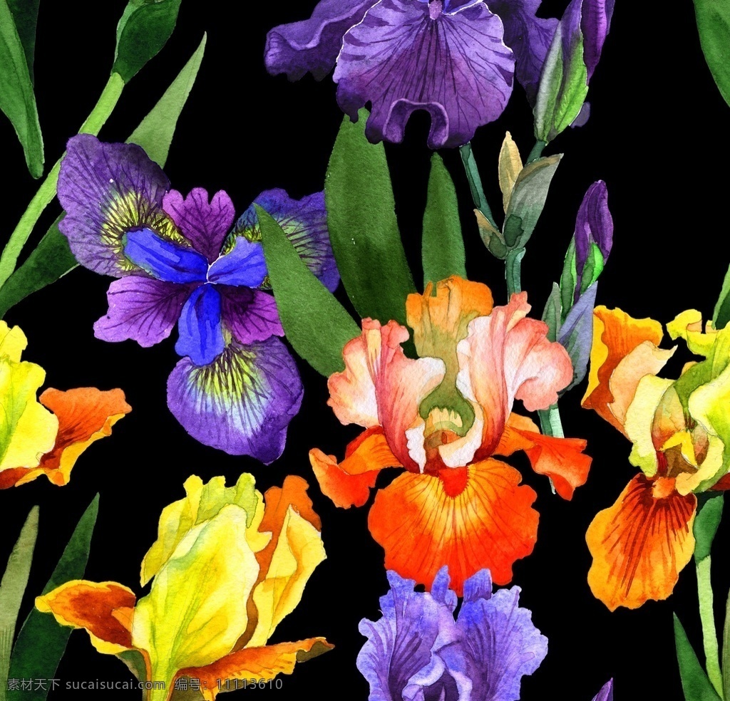 水彩 植物 花朵 绿叶 花卉花语 清新植物 清新花卉 花瓣 绿植 水彩花朵 森系小清新 水彩花边 花朵花语 花艺 浪漫 鲜花 水彩花卉 手绘花卉 花边 花纹 森系 淡彩花枝 树枝 绘画 花卉花草 浪漫温馨 婚礼手绘 婚宴花卉 结婚花卉 花束 植树节 园艺 园林艺术 png图片 底纹边框 北欧 装饰画 玫瑰花 文化艺术 绘画书法