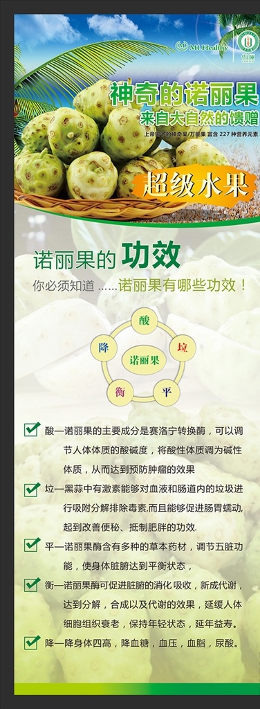 神奇的诺丽果 优泊丽 保健 养生 展架 海报 绿色 天然 果实 功效介绍