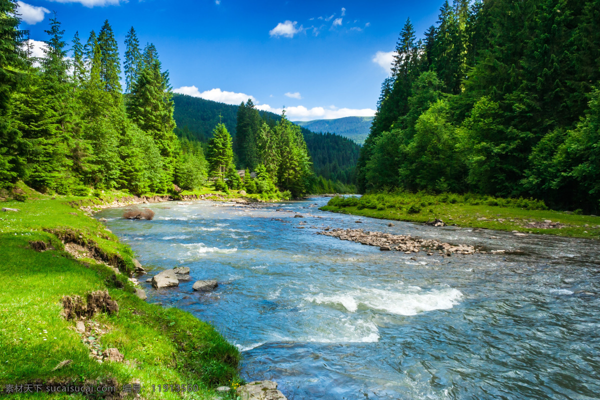 自然风景 自然 风景 树林 树木 蓝天 共享 自然景观 山水风景