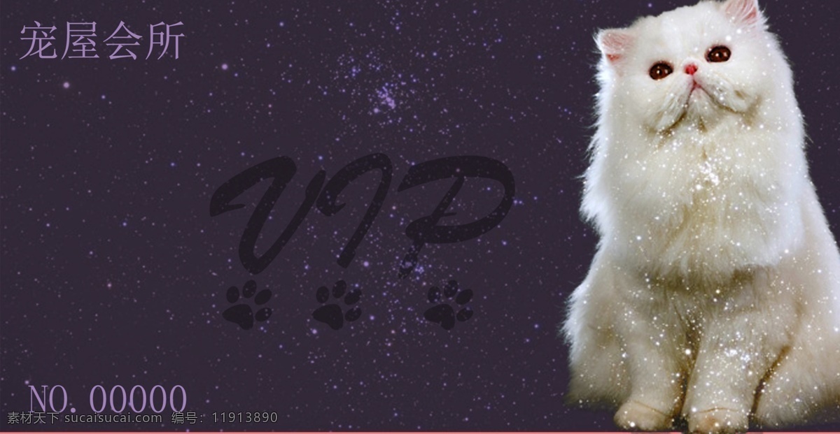 宠物会员卡 宠物 星空 白色 猫咪 会员卡 紫色 分层