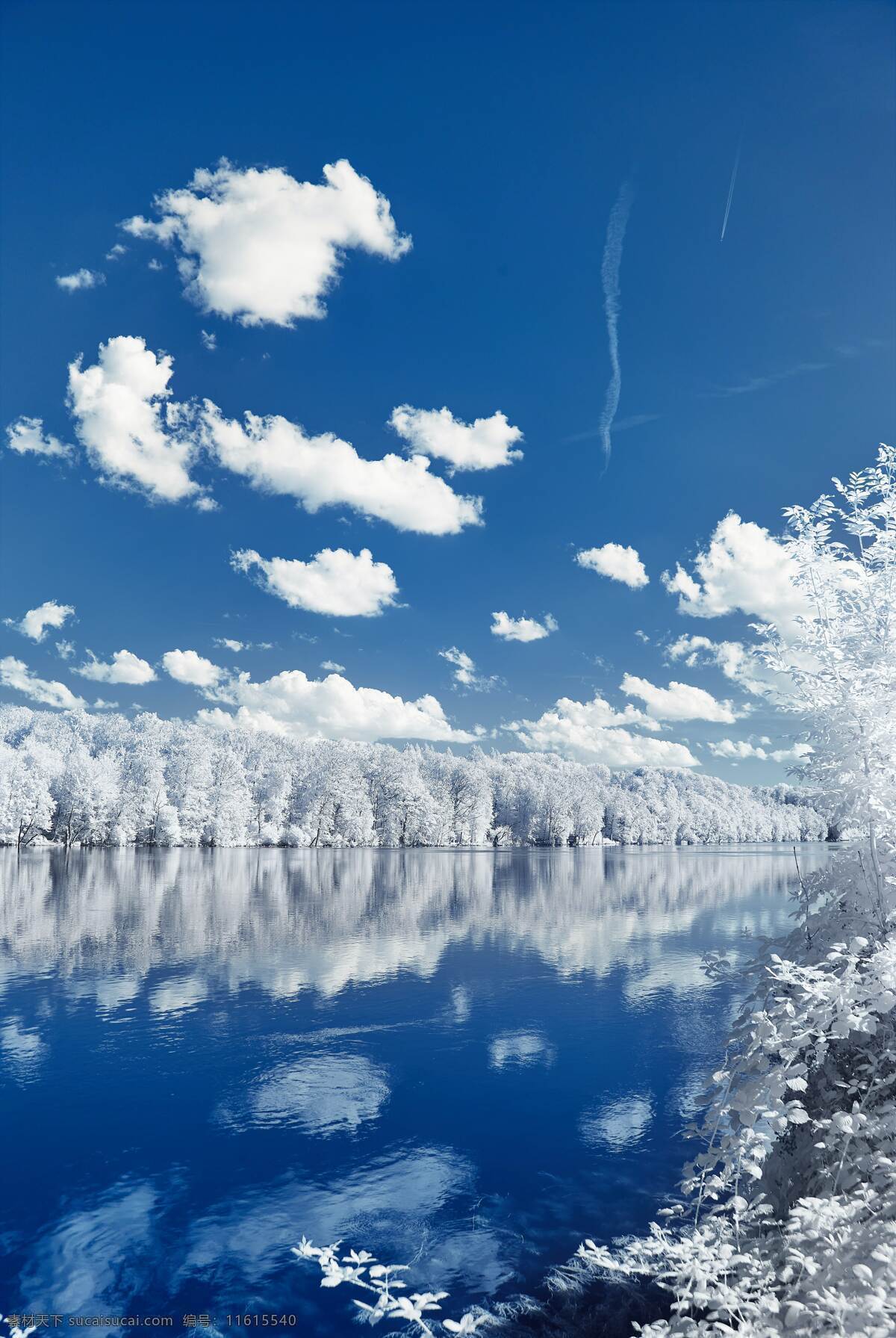 蓝天 白云 镜水 冰 树 云层 云朵 云彩 免费 高清 背景素材 背景 蓝色 森林 湖泊 湖水 镜面 晴天 阳光 美景 树木 雾凇 生活素材 自然景观 自然风景