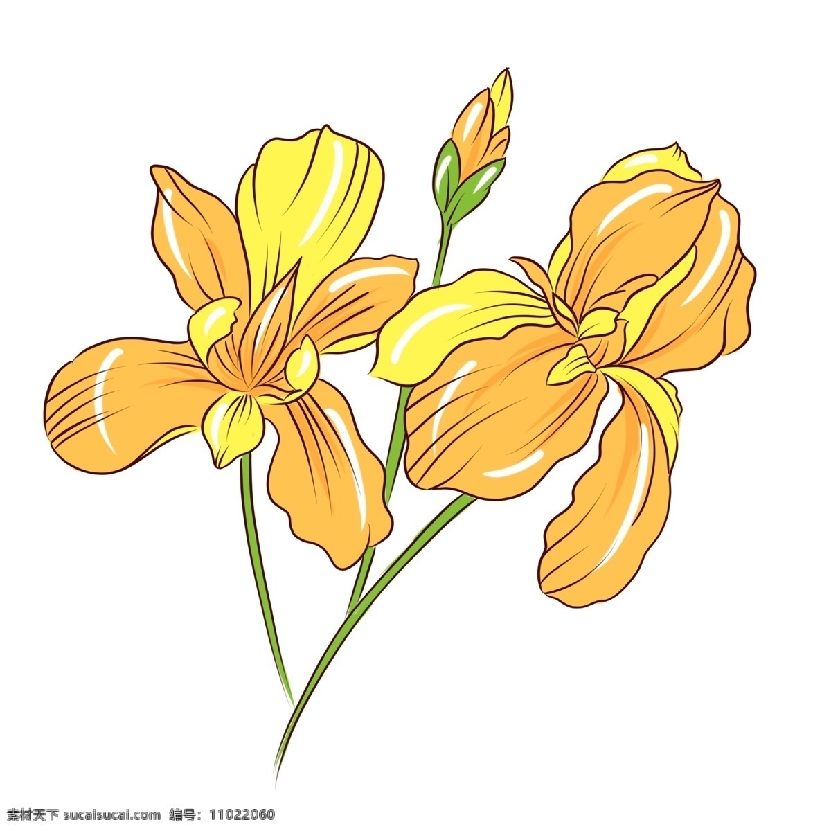 手绘 植物 花卉 黄色 花束 商用 手绘植物 手绘花卉 植物花卉 花草树木 手绘花草 手绘花束