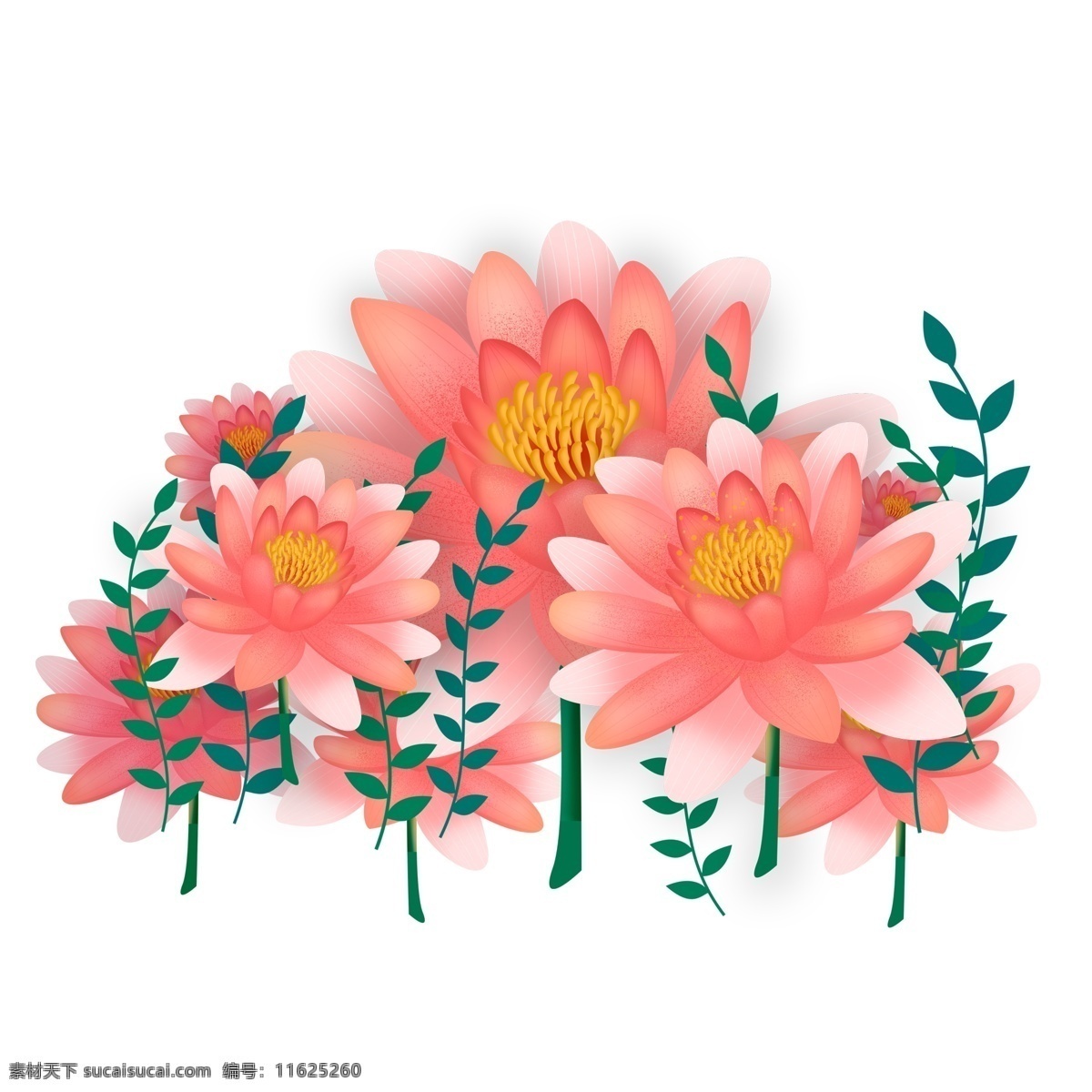 淡 粉色 花卉 手绘 透明 卡通素材 可爱 鲜花 png免抠图 透明素材