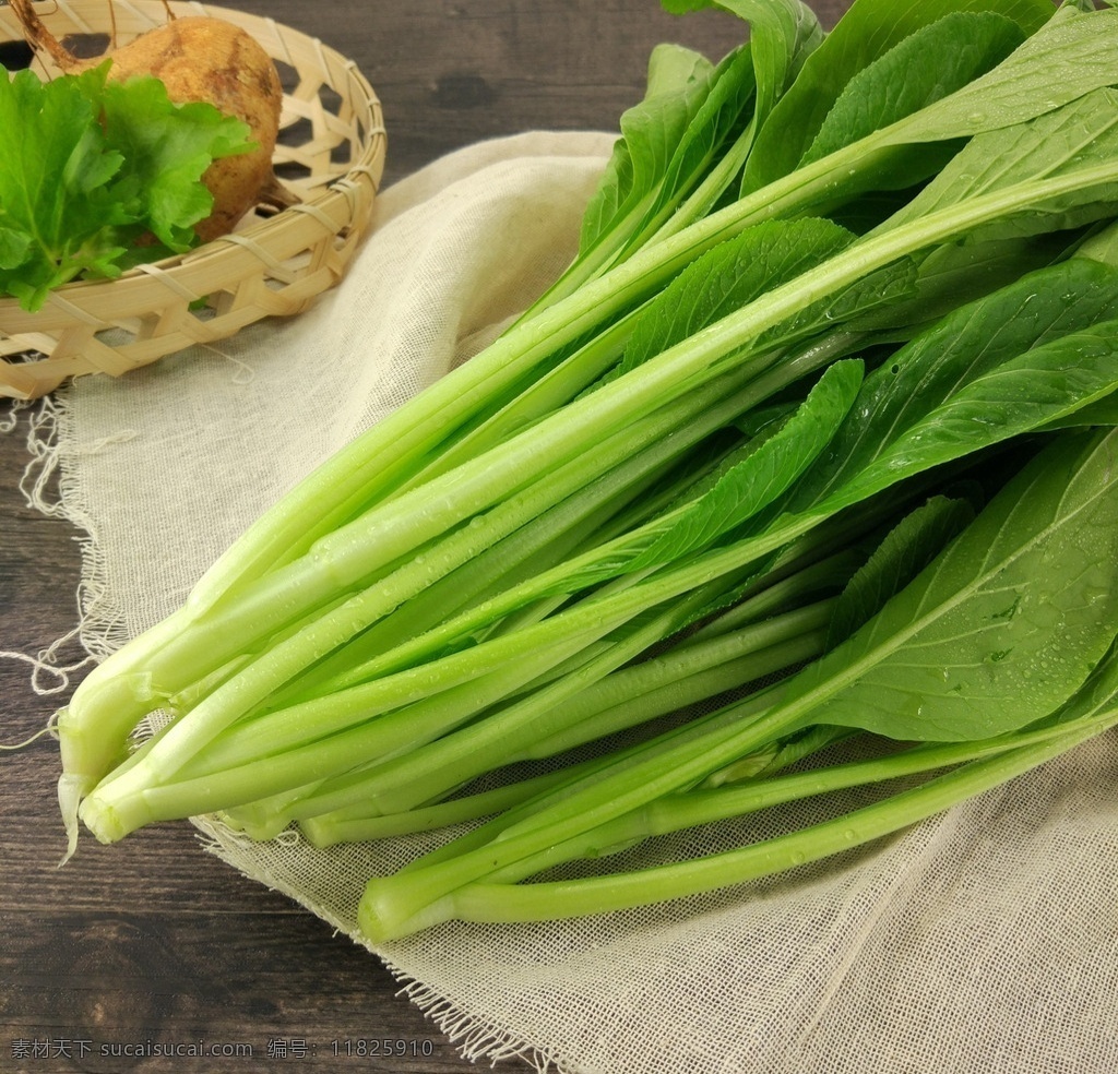 小菜心 水培菜心 青江菜 青菜 蔬菜 生物世界