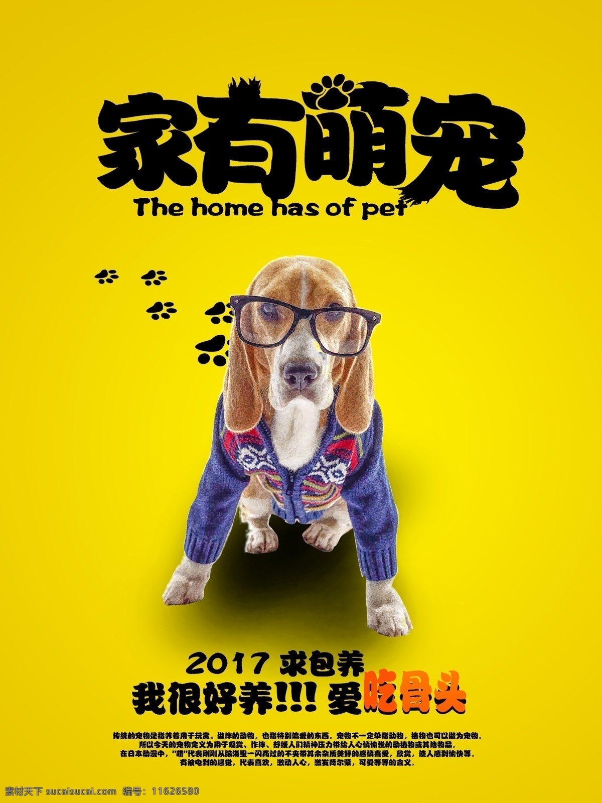 萌宠 猫 狗 宠物 可爱 小狗 小猫 漫画 插画 卡通 黑夜 夜晚 睡觉 睡眠 丛林 月亮 星星 繁星 包装 服饰 服装 图案 插图 狐狸 小鸟 嫦娥 月兔 兔子 分层