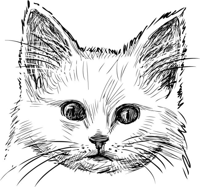 手绘 猫 头 矢量图 设计素材 猫头