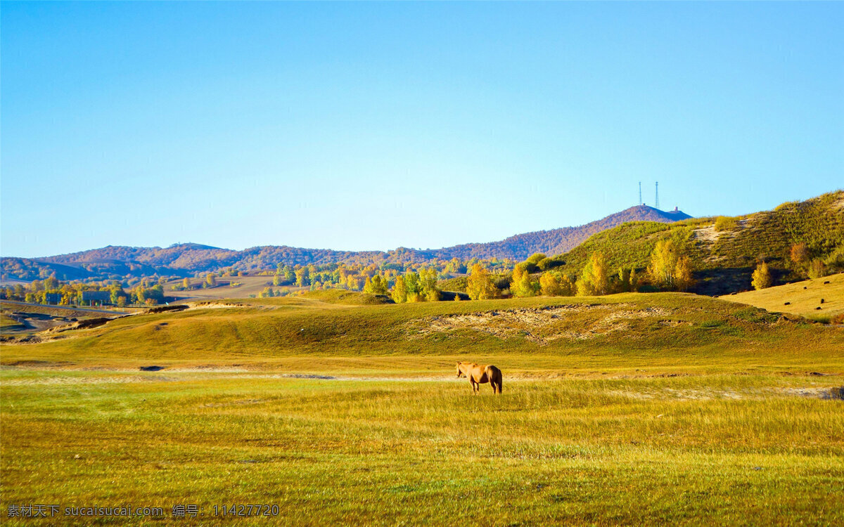 广袤的大草原 大草原 唯美 高清 草原 自然风光 风景 自然景观 自然风景