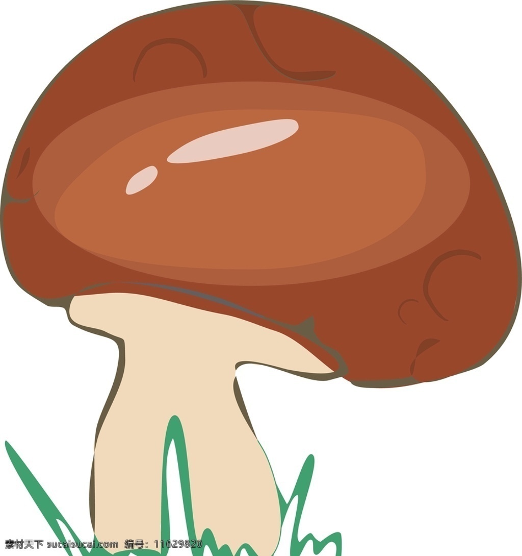 可爱的小蘑菇 插画图片 插画 蘑菇 香菇 可爱 菌类 植物 动漫动画