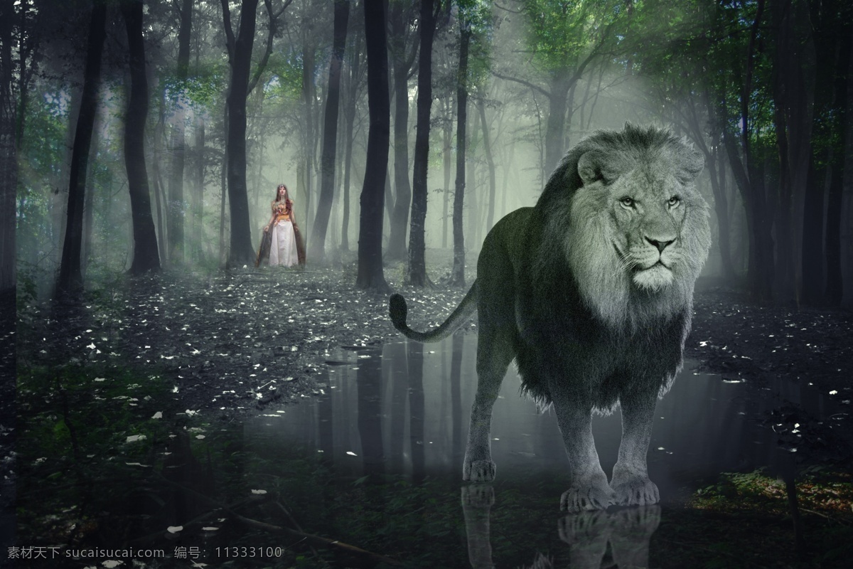 森林 中 狮子 公主 树林 迷幻