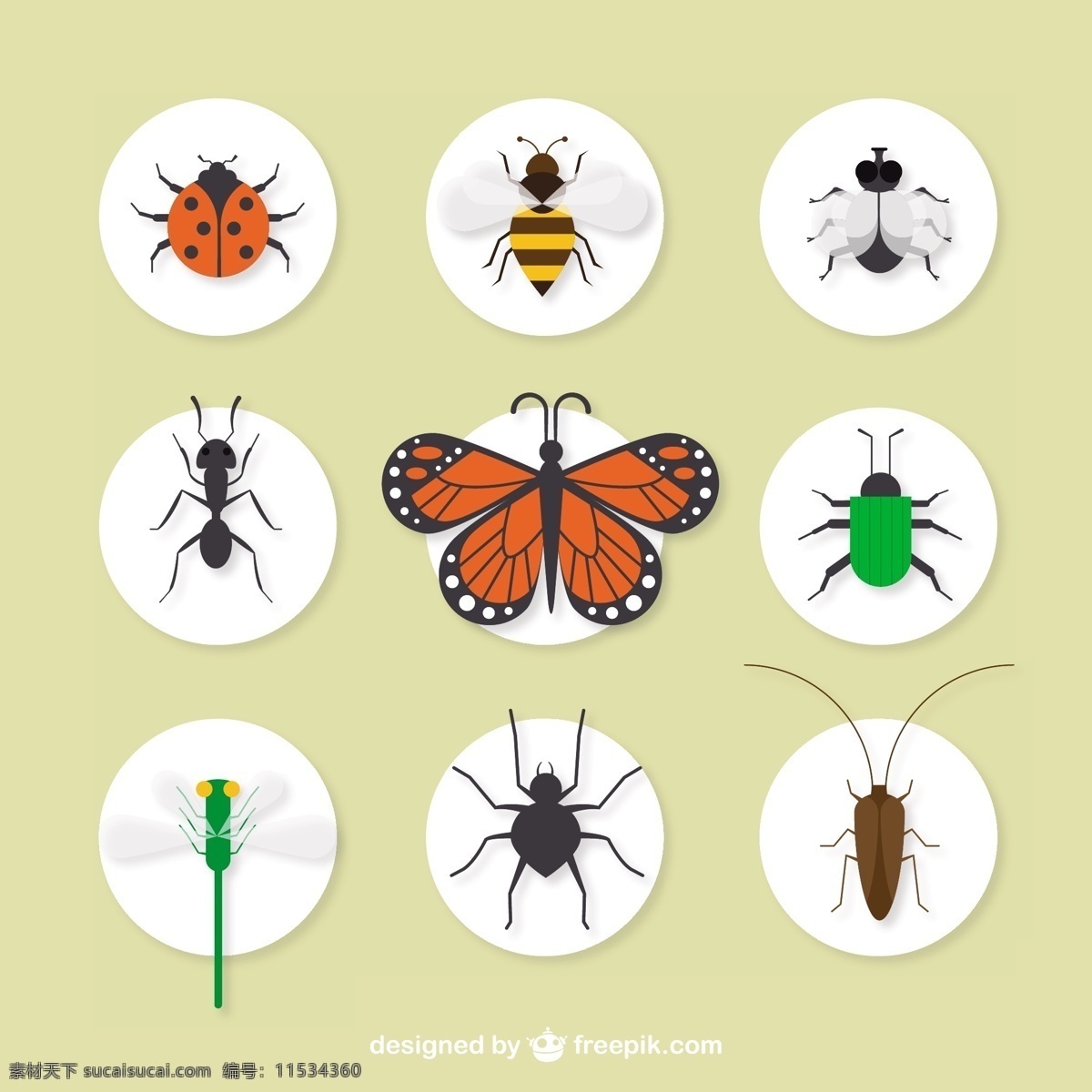 昆虫采集背景 蝴蝶 动物 蜜蜂 瓢虫 蚂蚁 昆虫 蚊子 蝎子 收集 蜈蚣