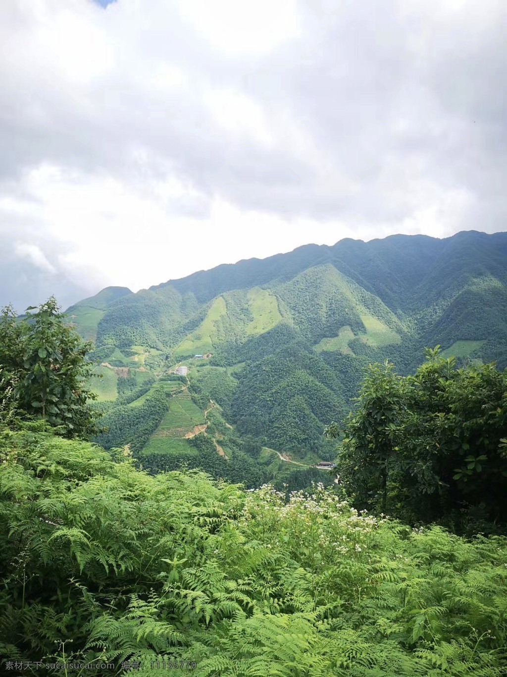 山野 山林 青山 春天 夏天 惬意 绿色 自然 野外 登山 户外 树林 树丛 树木 树 丛林 背景 插图 山脉雪山合辑 自然景观 自然风景