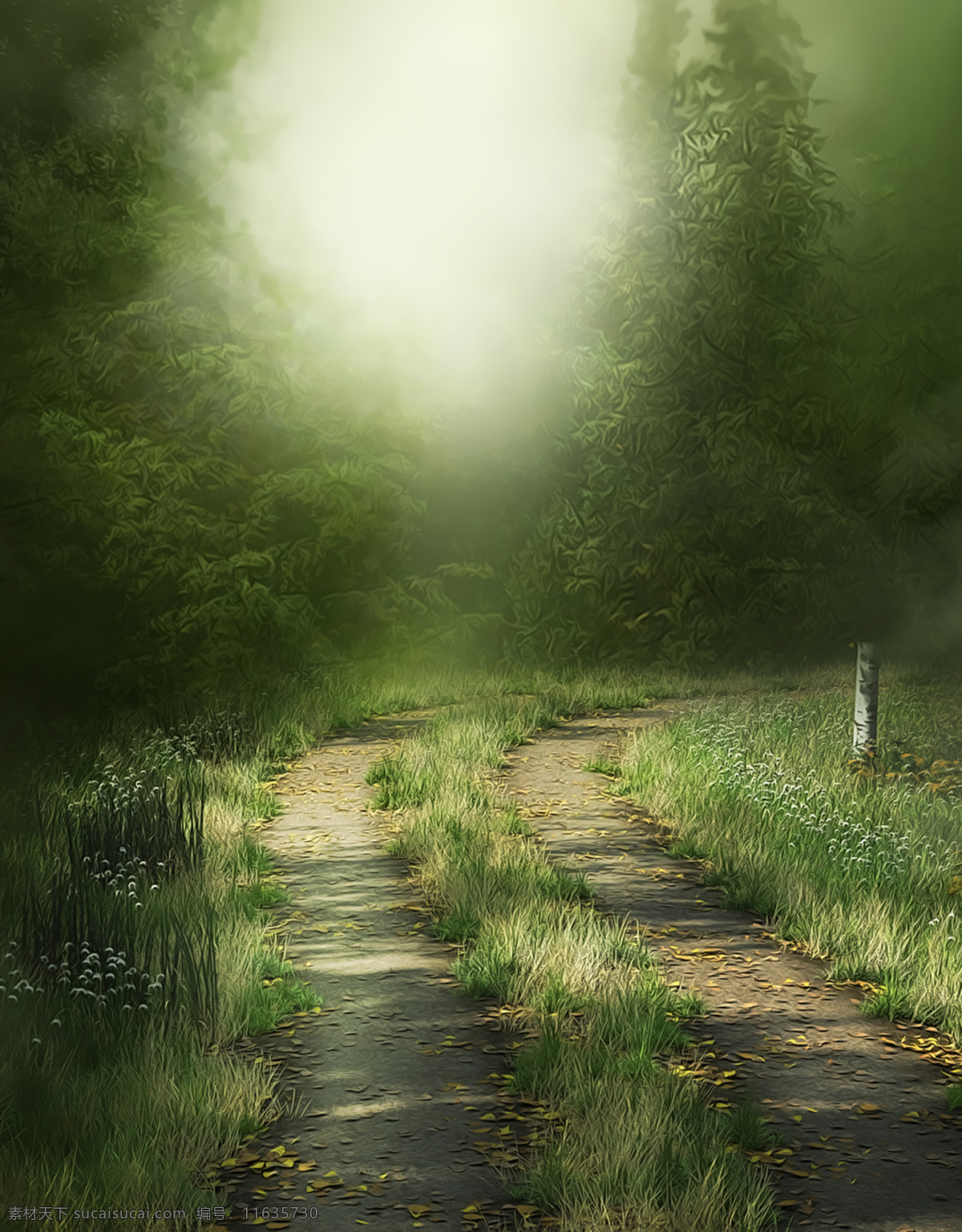 童话背景 仙境 梦幻背景 树林 绿草 草地 森林 儿童 艺术照 背景 绿树 绿叶 花草 摄影背景 相片背景 摄影主题背景 自然风光 自然景观