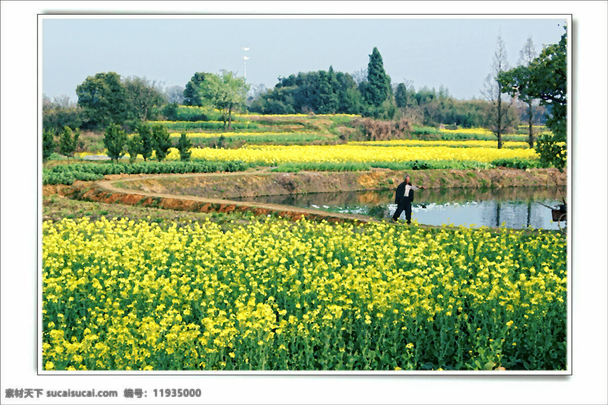 希望 田野 春天 风景 黄色 江南 山水风景 乡村 油菜花 希望的田野 浙江 兰溪 自然风光 自然景观 psd源文件