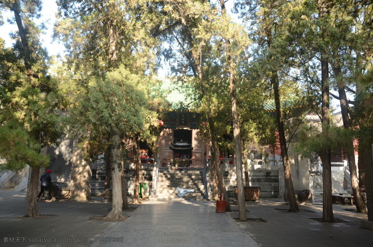 少林寺 藏经阁 嵩山 古建 古树 鸽子 旅游摄影 国内旅游 黑色