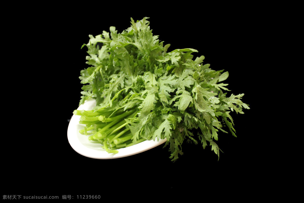 茼蒿菜 蔬菜 绿叶菜 涮锅菜 餐饮美食 食物原料