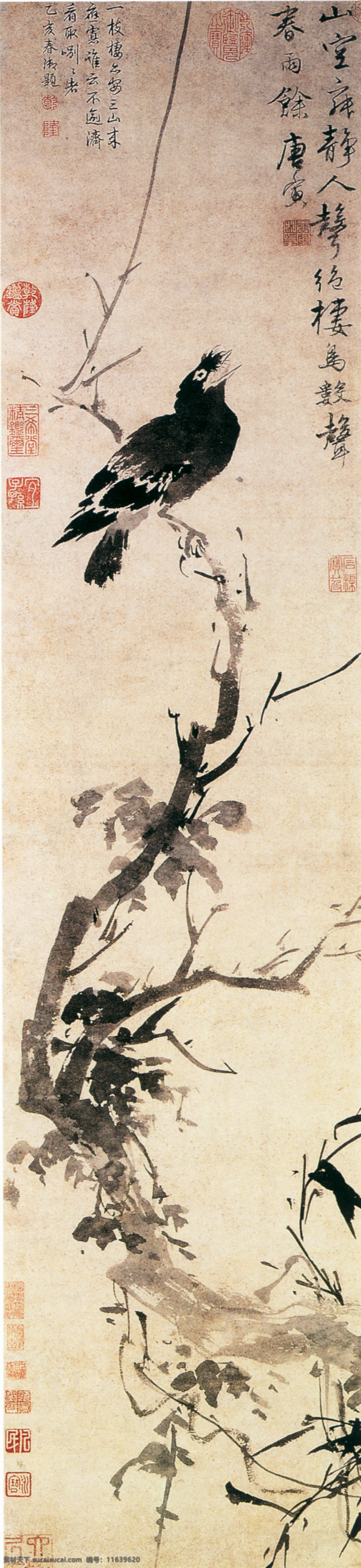 树枝 鸟 国画 水墨画 中国画 中国艺术 绘画艺术 装饰画 中堂画 书画 文化艺术 书画文字