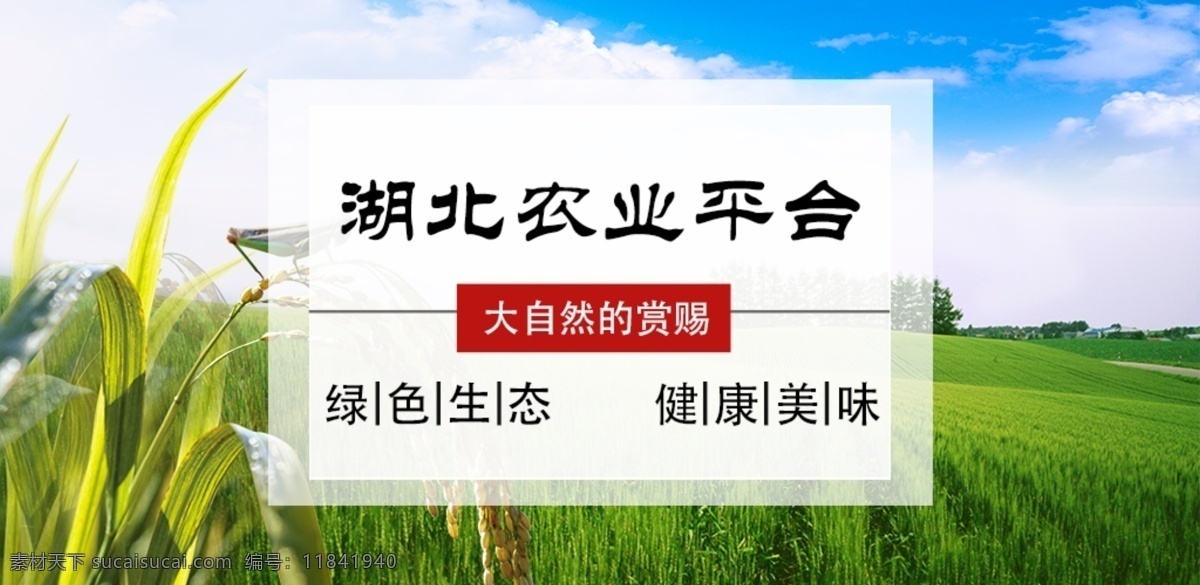 农业 banner 湖北农业平台 大自然的赏赐 种殖 生态 养殖