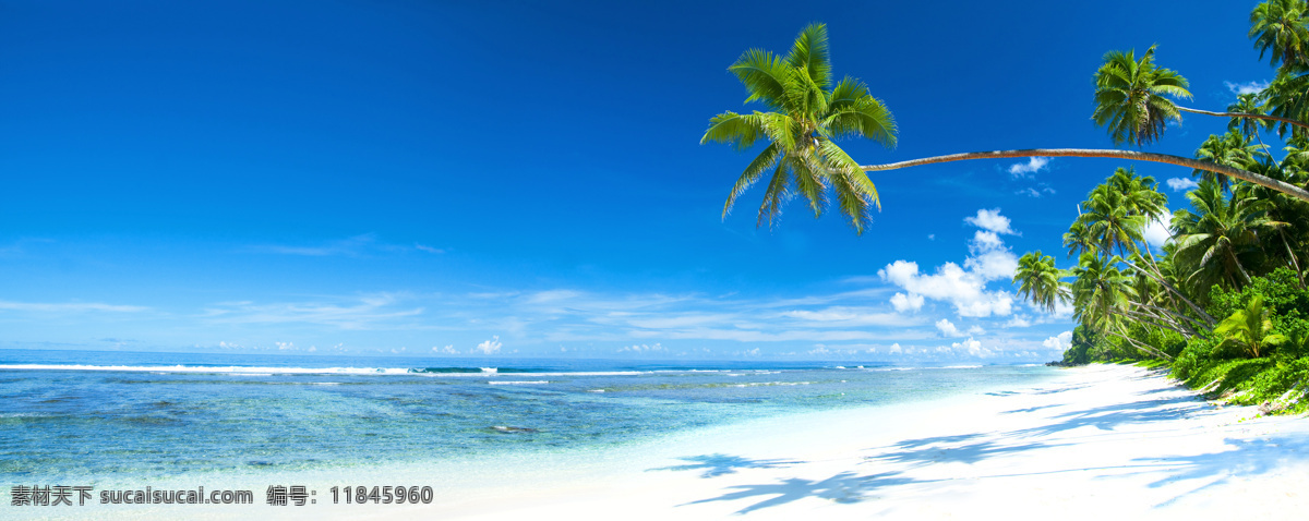 美丽 大海 景色 椰树 海滩风景 沙滩风景 大海美景 海面 蓝天白云 美丽风景 自然风景 自然景观 蓝色
