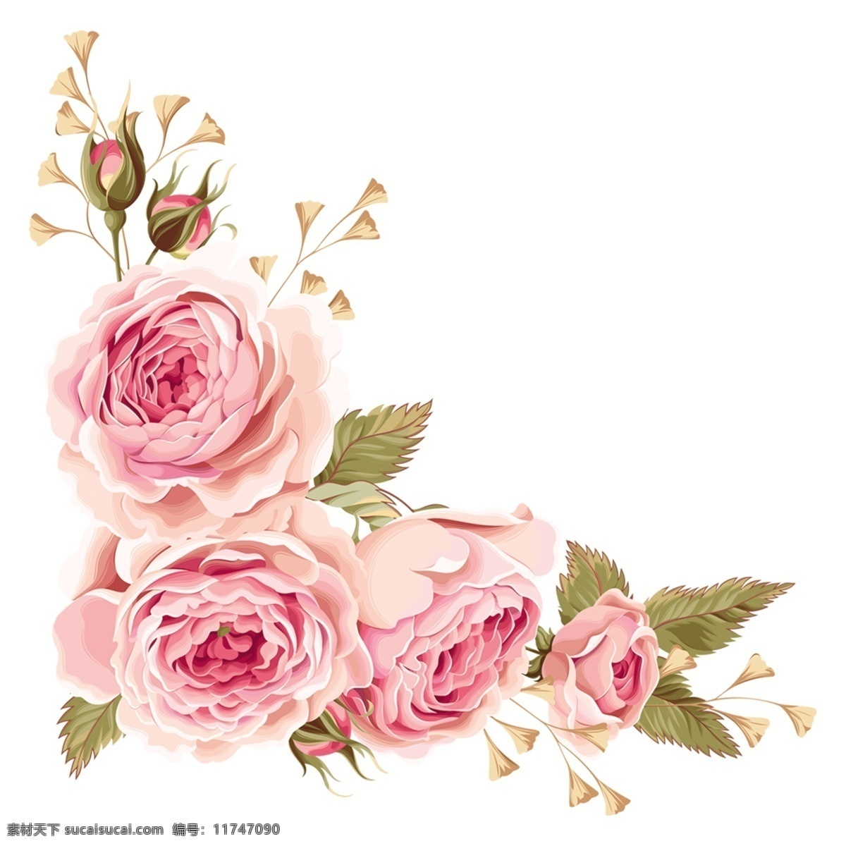 手绘 玫瑰 花卉 透明 红色 花朵 叶子 透明素材 玫瑰花卉 水彩 免 扣