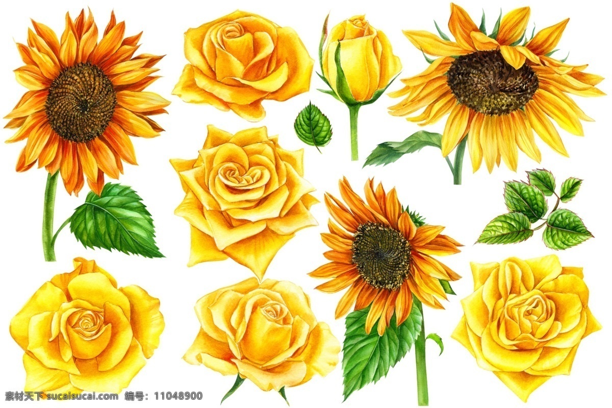 太阳花 向日葵图片 向日葵 数码印花 大牌印花 素材类 文化艺术 绘画书法